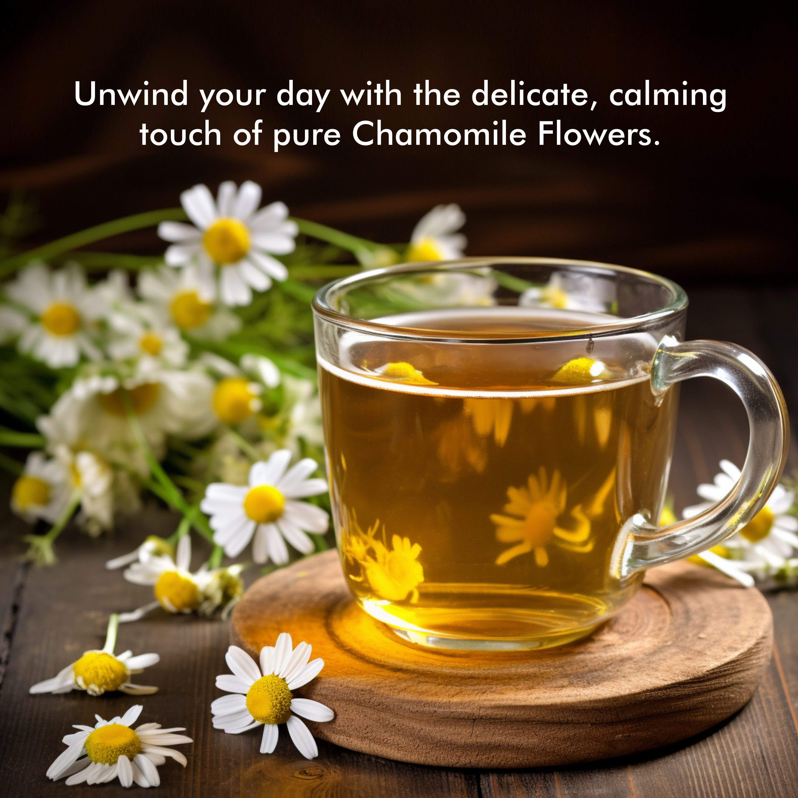 CHAMOMILE HERBAL TEA